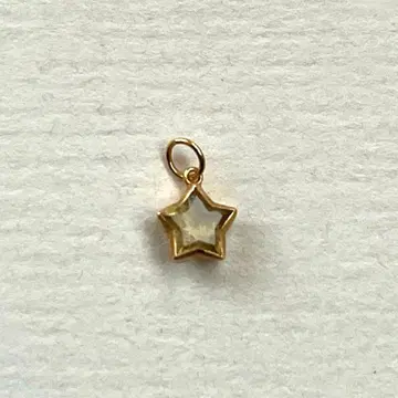 마리엘렌느 드 타야크 별 모양 참