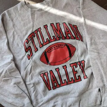 USA 90s 챔피온 리버스 위브 3단 프린트