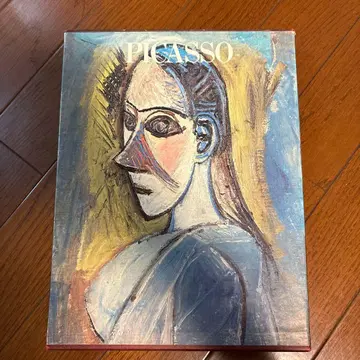 PICASSO 아트북 슈에이샤