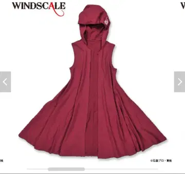 가면라이더 W WIND SCALE 필립 롱 후드티