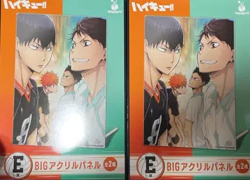 낱개 판매 가능 하이큐 happy 복권 E상 페어