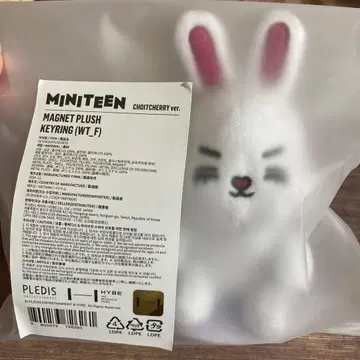 SEVENTEEN 세븐틴 MINITEEN 에스쿱스 마그넷 키링