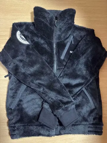 THE NORTH FACE 플리스 자켓 L 블랙