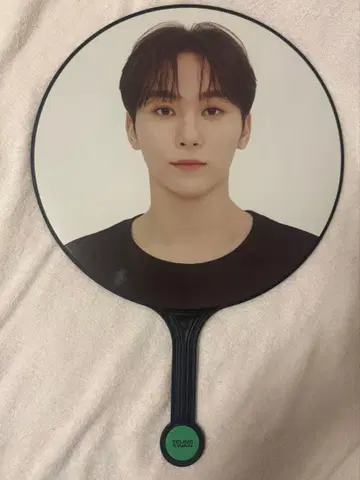 SEVENTEEN 승관 부채