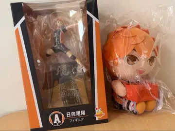 하이큐!! 히나타 쇼요 A상 피규어 뭇치 라스트 원 봉제 인형 세트