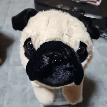 퍼그 봉제 인형 중형 크림색