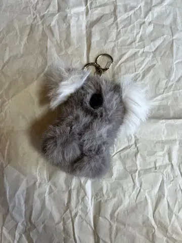 젤라또피케 코알라 참