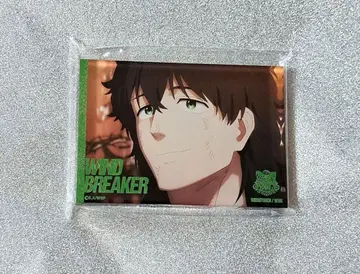 WIND BREAKER 아크릴 블록 작중 장면 사진 ver. 토카게 조