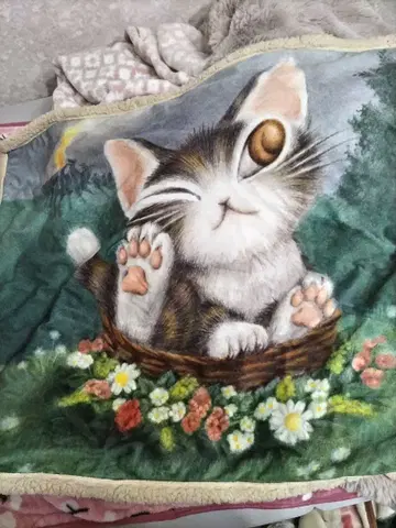 와치필드 담요 70 x 100cm 귀여운 다얀 극세사