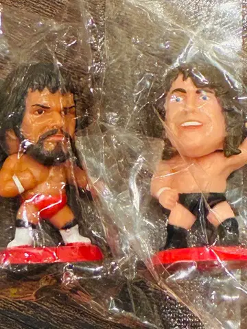 미개봉 프로격 히어로즈 전일본 프로레슬링 고디 & 윌리엄스 2체 세트