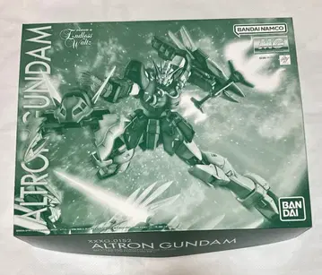 MG 1/100 알트론 건담 EW