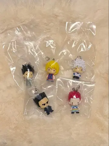 헌터헌터 메지루시 액세서리 컴프 5종