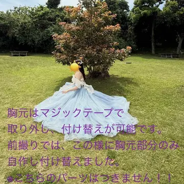 컬러 드레스 블루 드레스 튤 드레스 사전 촬영