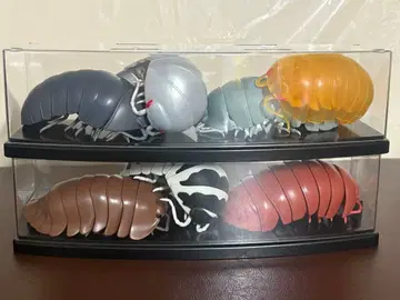 단고무시 케이스 포함