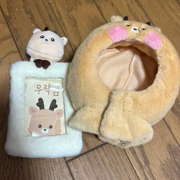 RIIZE RIIZING DAY 응원봉 커버 성찬 트레이딩 카드 케이스