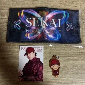 SEKAI BUTTERFLY EFFECT 굿즈