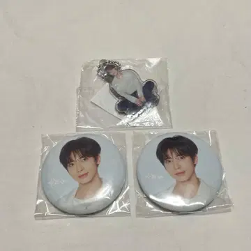 TXT ACT:TOMORROW 캡슐 토이 캔뱃지 아크링 키링 태현