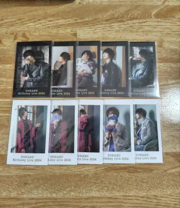 소라루 폴라로이드