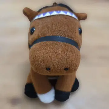 마카히키 아이돌 호스 S