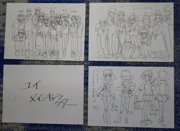 컬렉터 유이 설정 자료