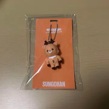 RIIZE 성찬 러버 키링