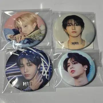 Stray Kids 스키즈 한지성 dominATE JAPAN 캔뱃지