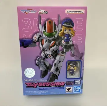 타이니 세션 VF-25F 메시아 발키리 (알토기)