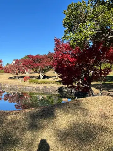 노기자카46 사이토 아스카 졸업 기념 뱃지 2011-2022