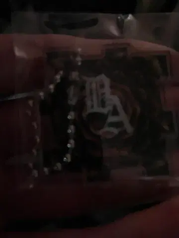 진미래제 2025 Dragon Ash 가챠가챠 키링