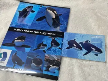 나고야항 수족관 더블 포켓 클리어 파일 범고래 린 어스 거북 돌고래