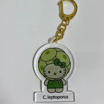 C. leptoporus 아크릴 키링