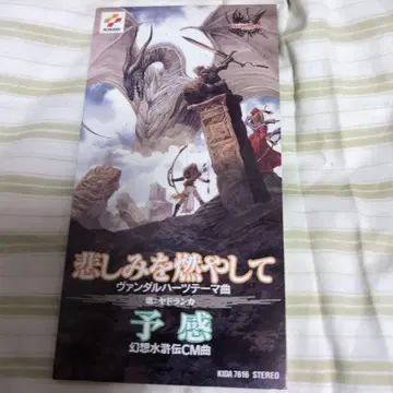 싱글 슬픔을 불태워라 뱀파이어 하츠 환상수호전