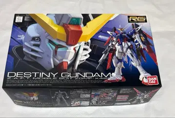 RG 1/144 데스티니 건담