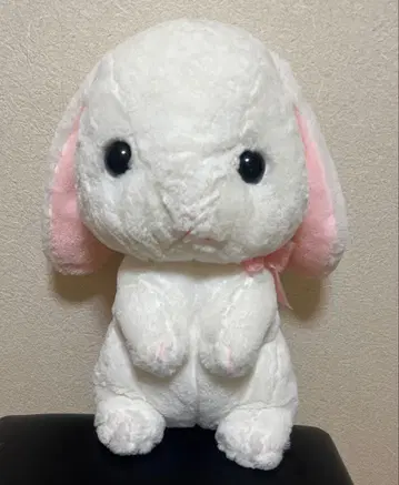 포테 토끼 봉제 인형 토끼