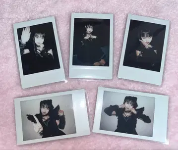 모치즈키 모모 랜덤 폴라로이드 데빌 공식