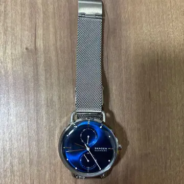 SKAGEN HORIZONT SKW2947