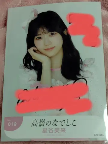 타카네노 나데시코 브로마이드 호시야 미라이 친필