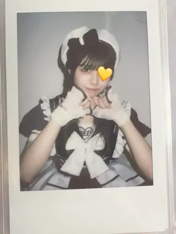 후쿠마루 우사 마린 의상 란체키