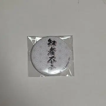 퀴즈노크 동언 [지자불언] 캔뱃지