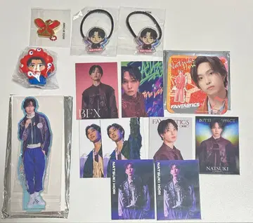 호리 나츠키 BUTTERFLY EFFECT BFX 캡슐 포토 카드 세트