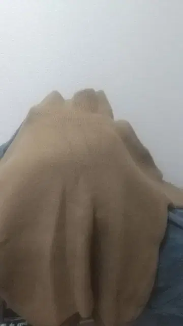 JEANASIS 터틀넥 긴팔 스웨터