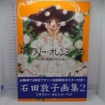 플라워 리 오렌지 페코 이시다 아츠코 화집 2 마법 기사 레이어스