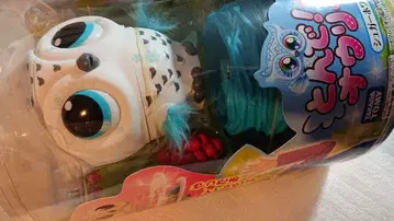 미개봉 새상품 톤데 오리 슈가 화이트