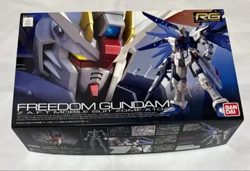 RG 1/144 프리덤 건담