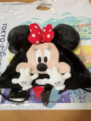 디즈니 미니 팬 캡