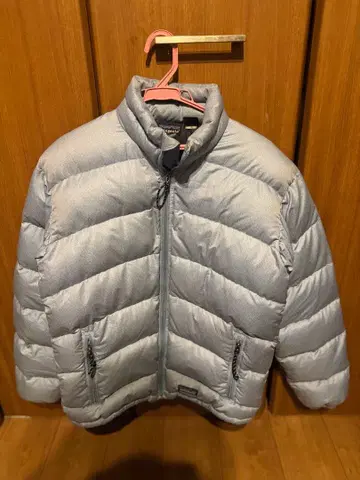 patagonia 스카이블루 다운 자켓