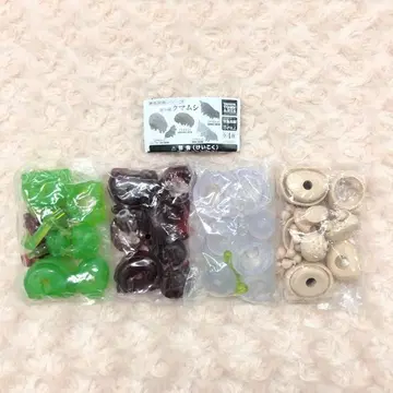 원색 도감 시리즈 번외편 곰벌레 전 4종 풀 컴프