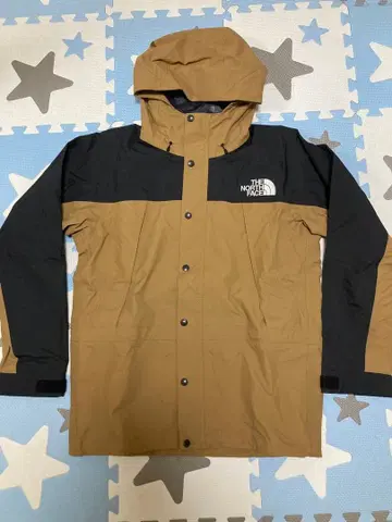 THE NORTH FACE 마운틴 후드티 브라운/블랙