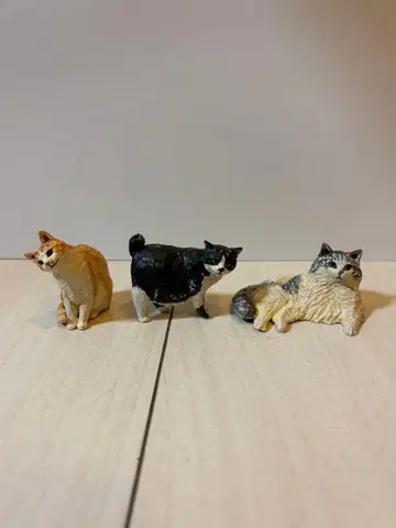 [하시모토 미오 고양이 조각 2] 3종 세트