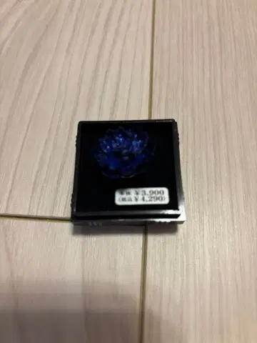 INI 핀 배지 파랑 이케자키 리히토